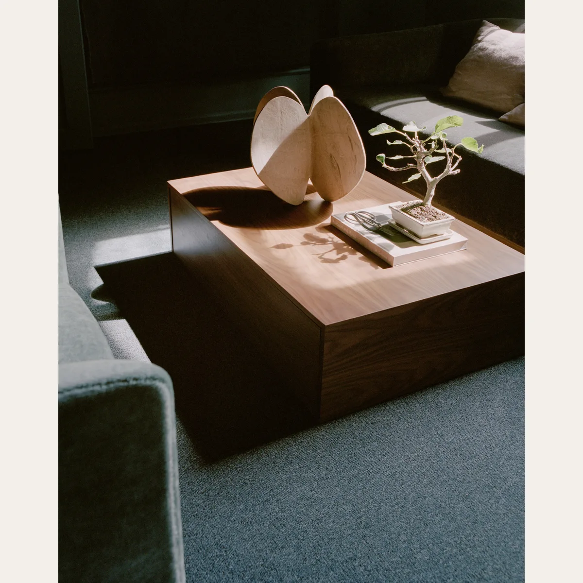 Mass Coffee Table High w. Drawer