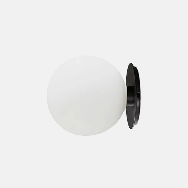 TR Bulb