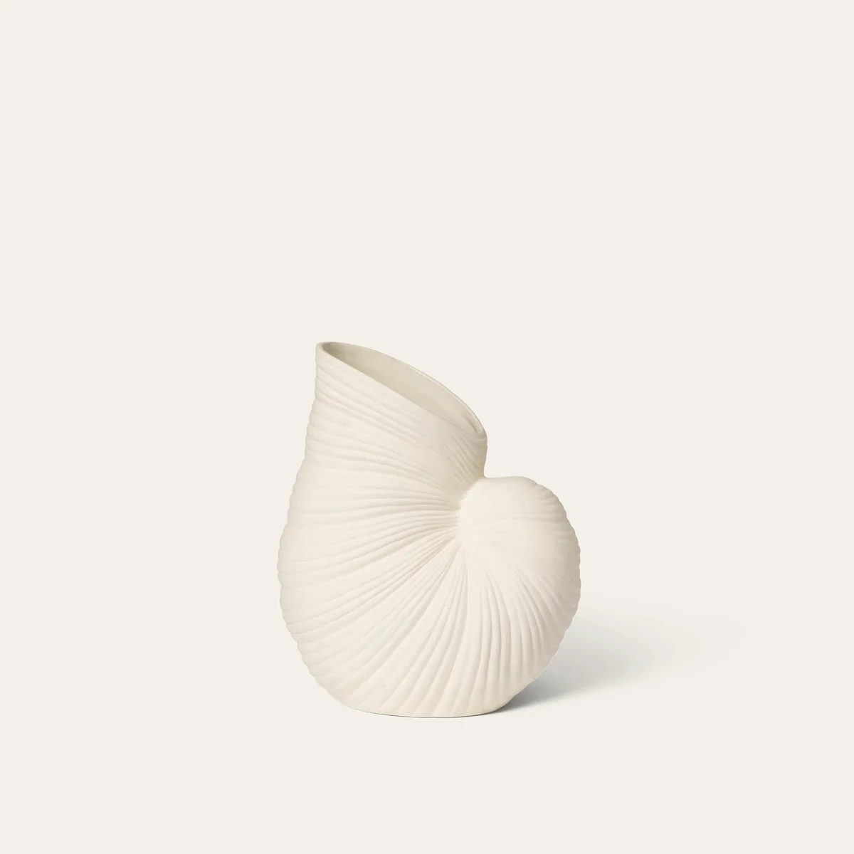 Shell Vase
