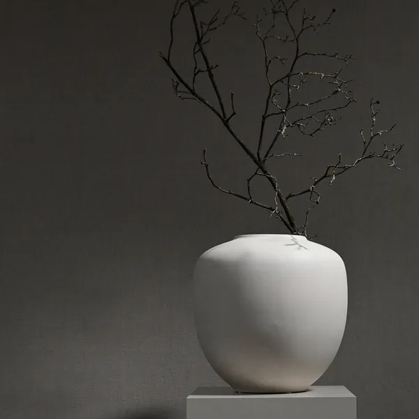 Sunao Vase, Medio