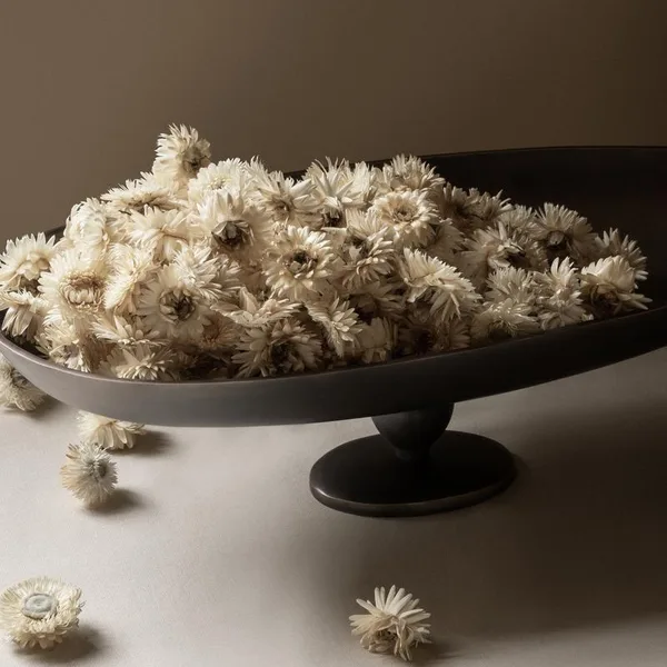 Pavot Centerpiece