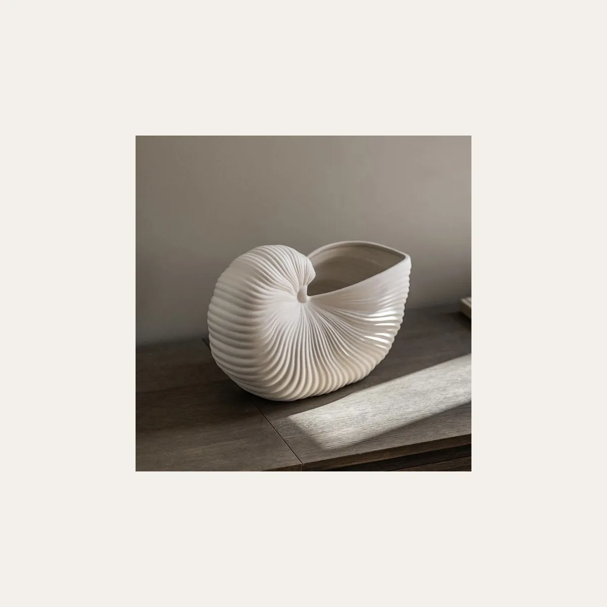 Shell Pot