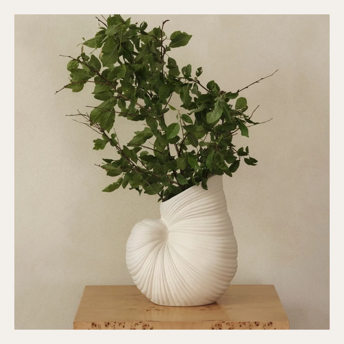 Shell Vase