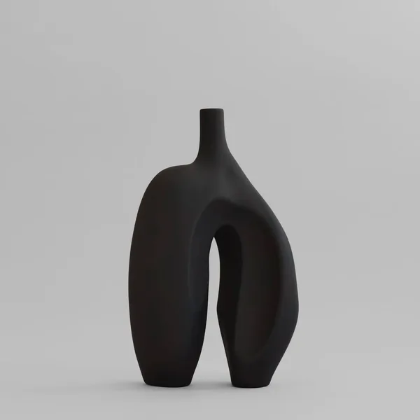Ni Vase, Medio