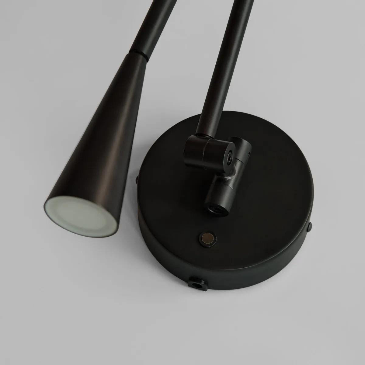 Snake Wall Lamp