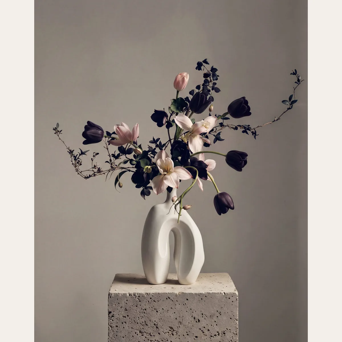 Ni Vase, Medio