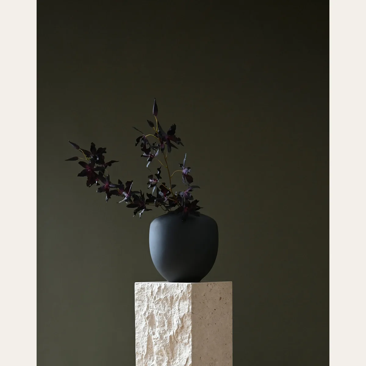 Sunao Vase, Medio