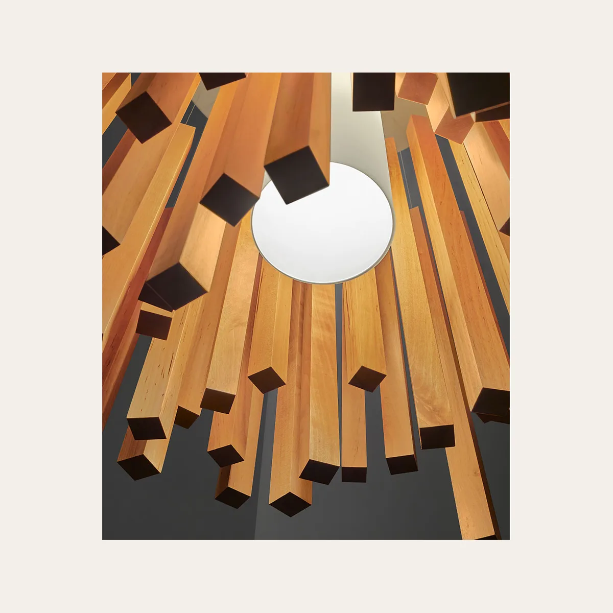 Woods
